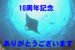 海へ１０周年