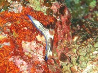 log081111a.jpg