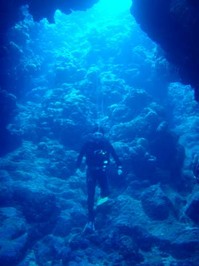log090328b.jpg