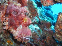 log070707a.jpg