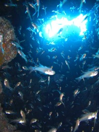 log070808b.jpg