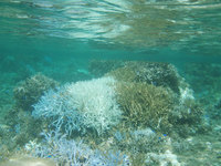 log070810f.jpg