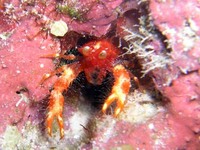 log071001f.jpg