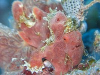 log071111a.jpg