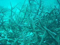 log090613c.jpg