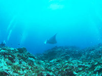 log090815m.jpg