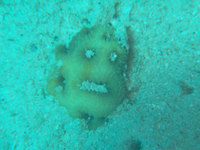 log090907a.jpg