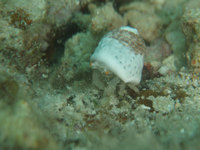 log090909c.jpg