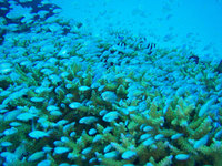log091007b.jpg