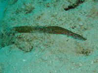 log091010c.jpg