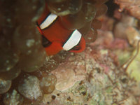 log091010d.jpg