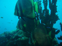 log091010e.jpg
