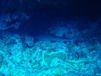log091111f.jpg