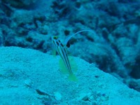 log091119e.jpg