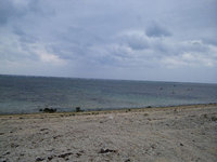 log100107a.jpg