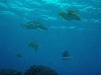 log100321a.jpg
