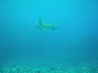 log100505f.jpg