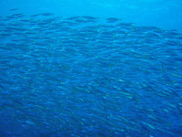 log100817c.jpg