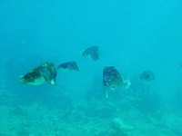 log110209a.jpg
