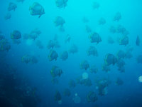 log110213f.jpg