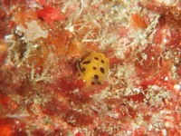 log110408e.jpg