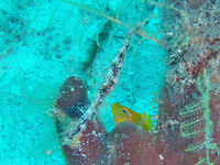 log110505c.jpg