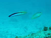 log110505f.jpg