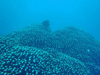 log110607e.jpg
