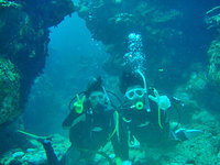 log110808bc.jpg