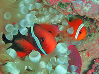 log110808e.jpg