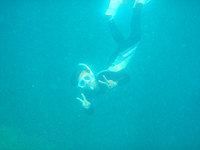 log110808ｆ.jpg