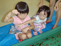 log110831f.jpg