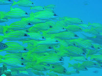 log110907c.jpg