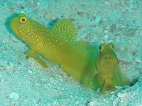 log110909d.jpg