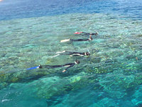 log110910e.jpg