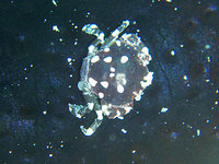 log111001f.jpg