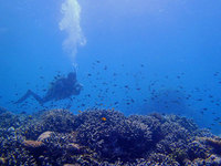 log120926e.jpg