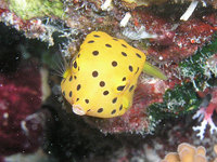 log130404a.jpg