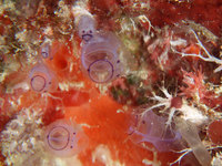 log130909a.jpg