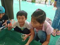 log171111a.jpg