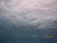 log180909b.jpg