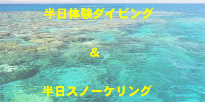 半日コース