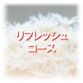 ���t���b�V���R�[�X�����̂��ē�