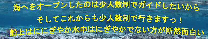 ダイビング