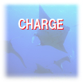 �Ί_���_�C�r���O�V���b�v�C�ւ̗����̂��ē�