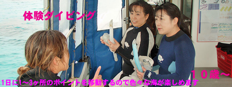 石垣島での体験ダイビング