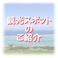 石垣島の観光スポットのご紹介
