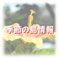 石垣島の季節毎の情報